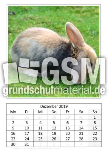 Dezember_Kaninchen_1.pdf